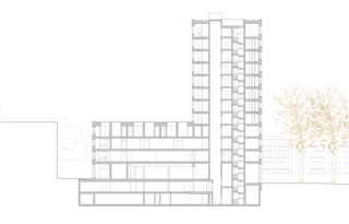 Longitudinal section